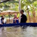Ketua DPRD Depok Ade Supriyatna Ikut Panen Nila di Sadewa Farm Harjamukti, Potensi Ekonomi Lokal Bisa Berkembang